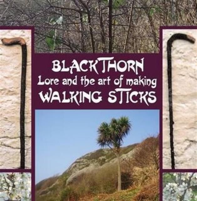 Blackthorn Lore and the Art of Making Walking Sticks