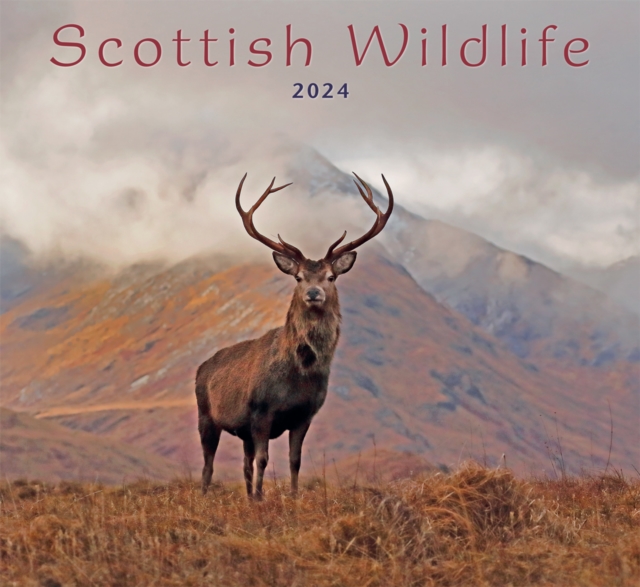 Scottish Wildlife Calendar 2024
