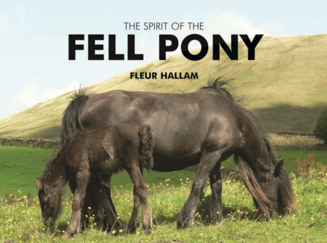 Spirit of the Fell Pony