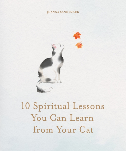 10 Spiritual Lessons You Can Learn from Your Cat