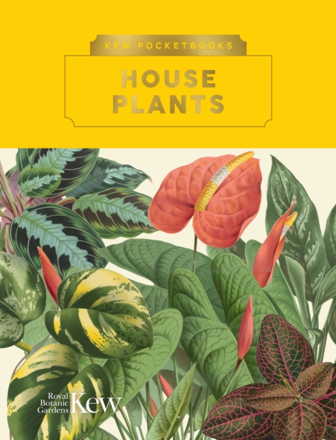 Kew Pocketbooks: House Plants