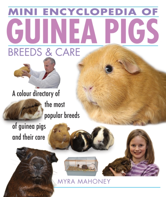 Mini Encyclopedia of Guinea Pigs Breeds and Care