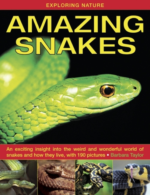 Exploring Nature: Amazing Snakes