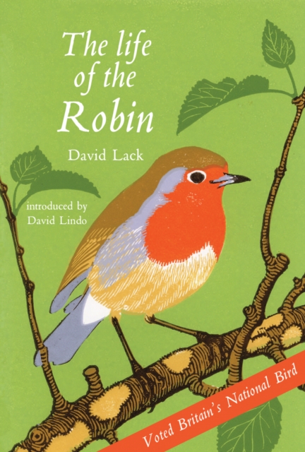 Life of the Robin