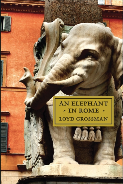 Elephant in Rome