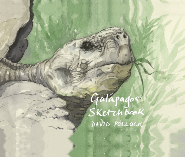 Galapagos Sketchbook