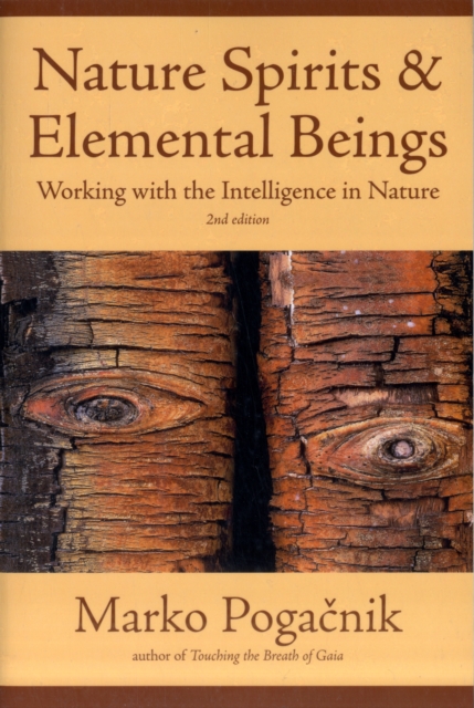 Nature Spirits & Elemental Beings