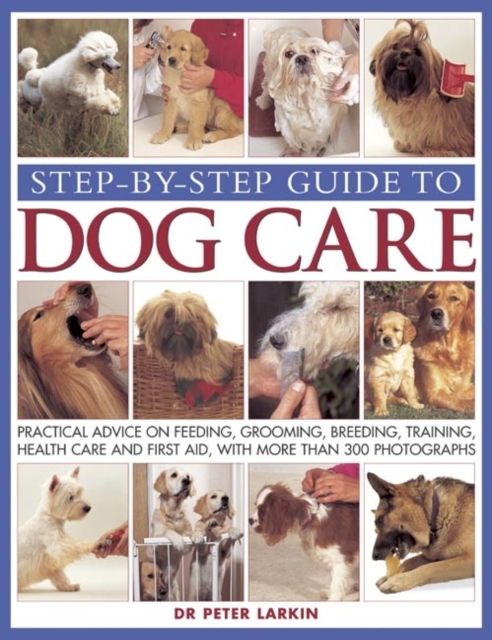 Step-by-step Guide to Dog Care