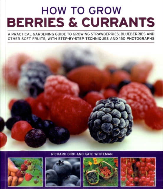 How to Grow Berries and Currants