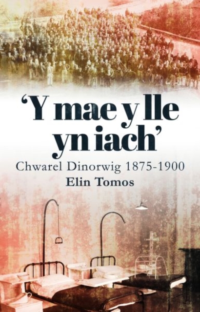 'Y Mae y Lle yn Iach' - Chwarel Dinorwig 1875-1900