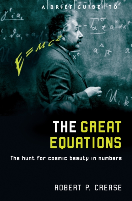 Brief Guide to the Great Equations