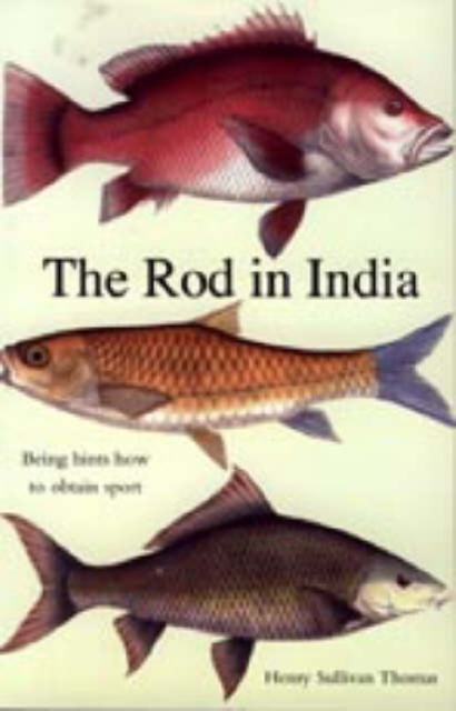 Rod in India