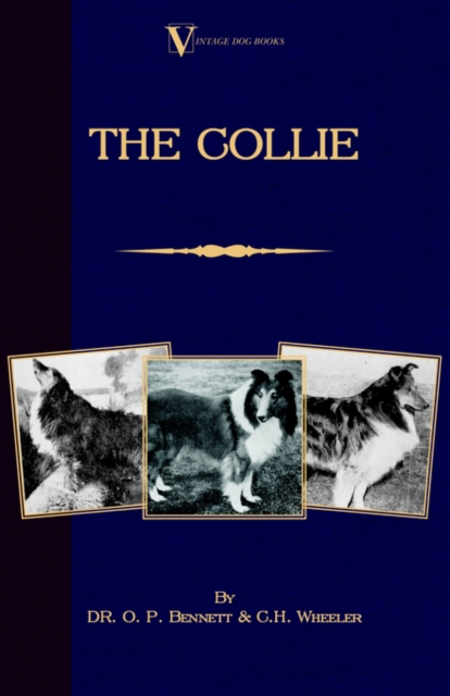 Collie (A Vintage Dog Books Breed Classic)