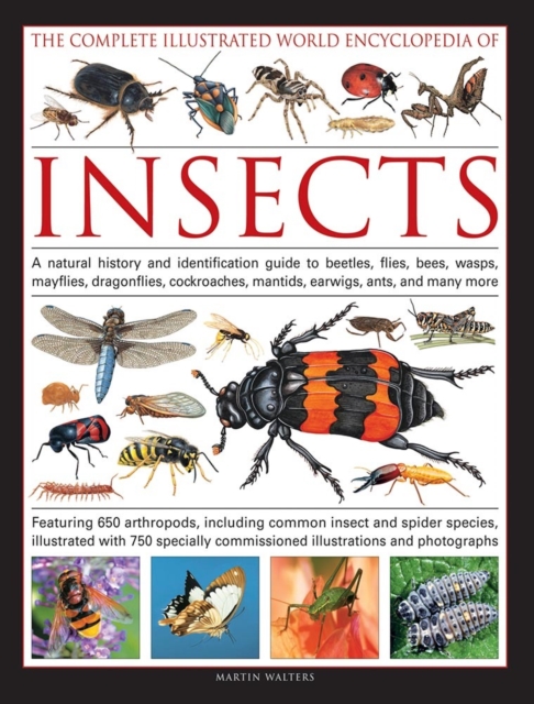 Complete Illustrated World Encyclopedia of Insects