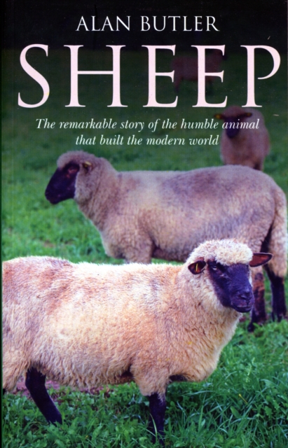 Sheep - The remarkable story of the humble animal that built the modern world.