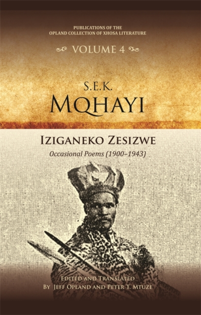 Iziganeko zesizwe