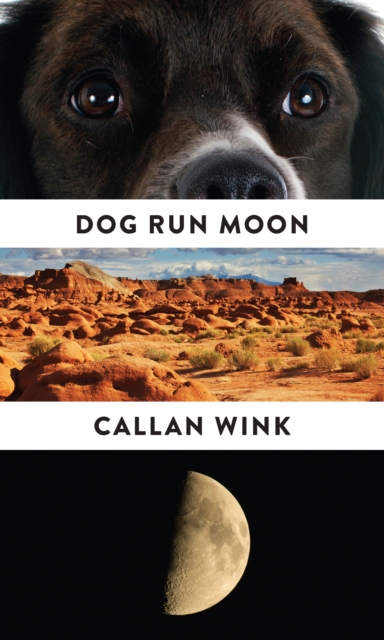 Dog Run Moon