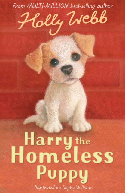 Harry the Homeless Puppy