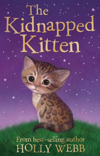 Kidnapped Kitten