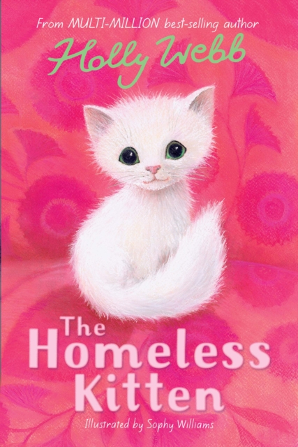 Homeless Kitten