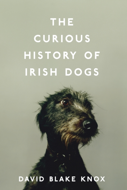 Curious History of Irish Dogs