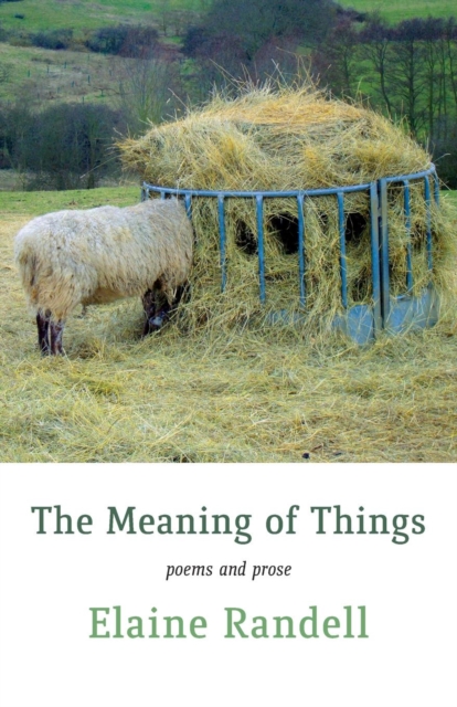 Meaning of Things