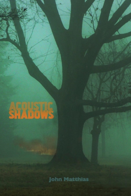 Acoustic Shadows