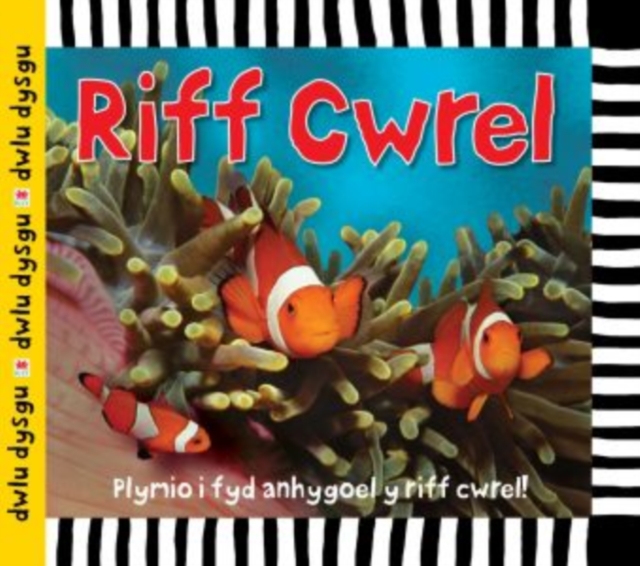 Cyfres Dwlu Dysgu: Riff Cwrel