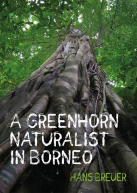 Greenhorn Naturalist in Borneo