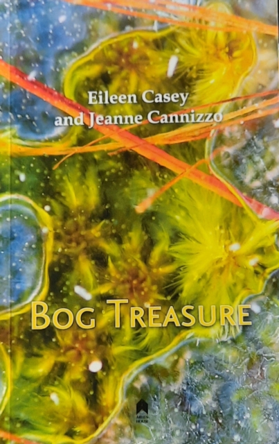 Bog Treasure