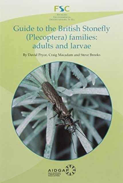 Guide to the British Stonefly (plecoptera) Families: Adults and Larvae