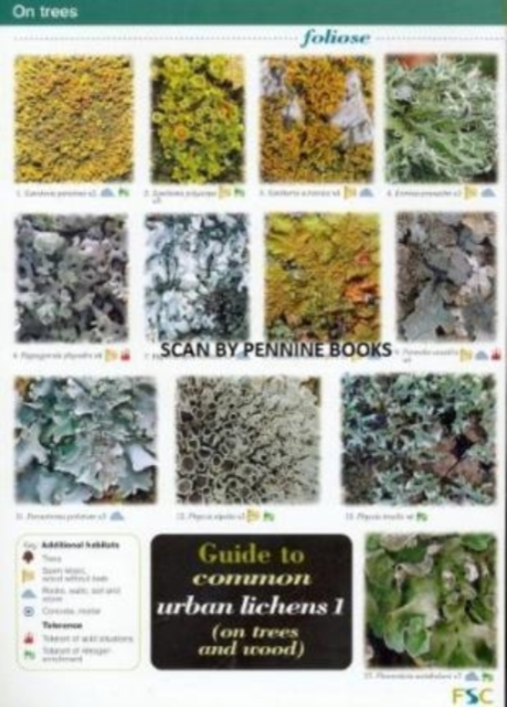 Guide to Common Urban Lichens