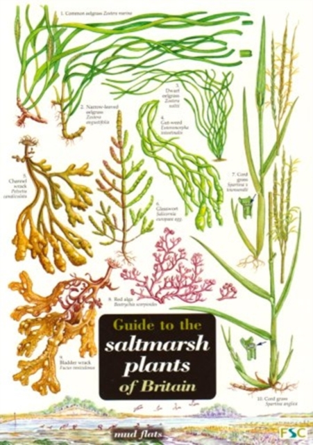 Guide to the Saltmarsh Plants of Britain