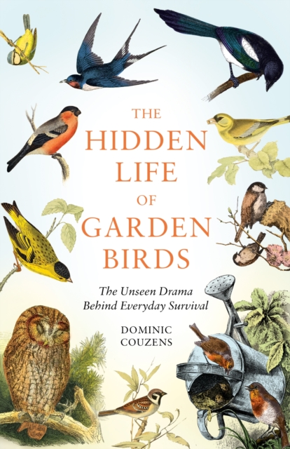 Hidden Life of Garden Birds