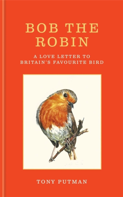 Bob the Robin