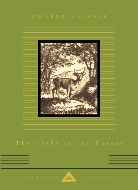 Light In The Forest