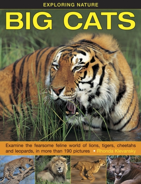 Exploring Nature: Big Cats