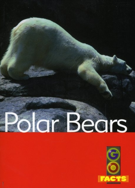 POLAR BEAR