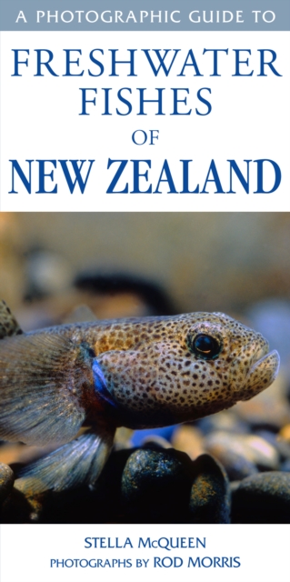Photographic Guide To Freshwater Fishes Of New Zealand