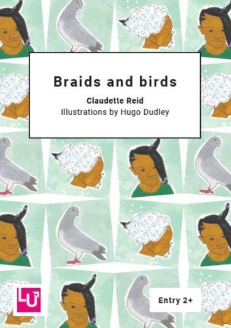 Braids and birds