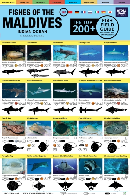 Maldives Fish Field Guide “Top 200+”