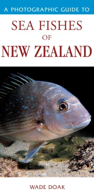 Photographic Guide To Sea Fishes Of New Zealand