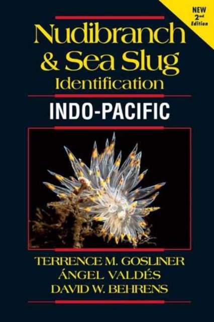 Nudibranch and Sea Slug Identification Indo-Pacific