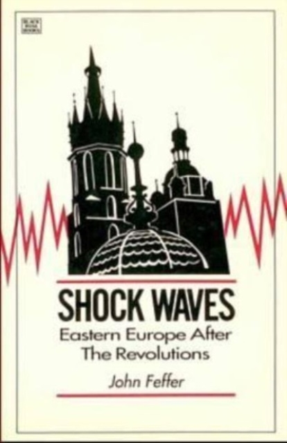 Shock Waves