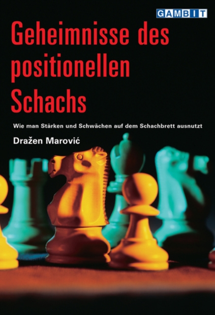 Geheimnisse Des Positionellen Schachs