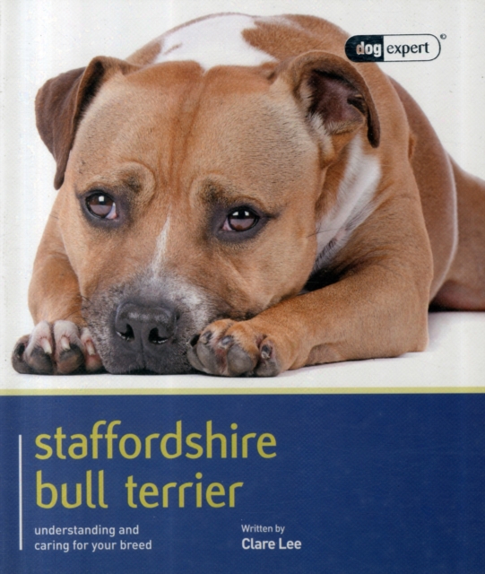 Staffordshire Bull Terrier - Dog Expert