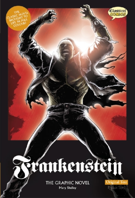 Frankenstein The Graphic Novel