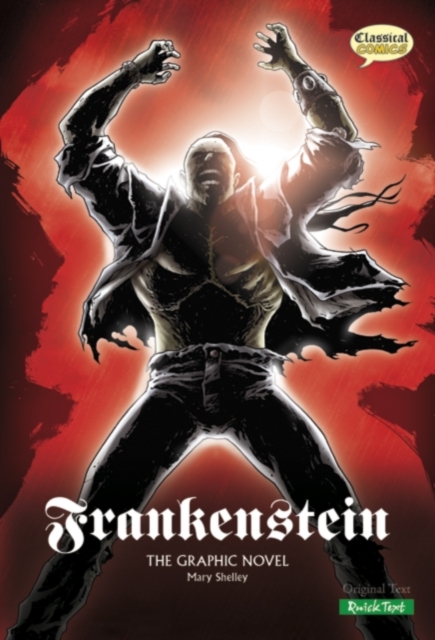 Frankenstein The Graphic Novel