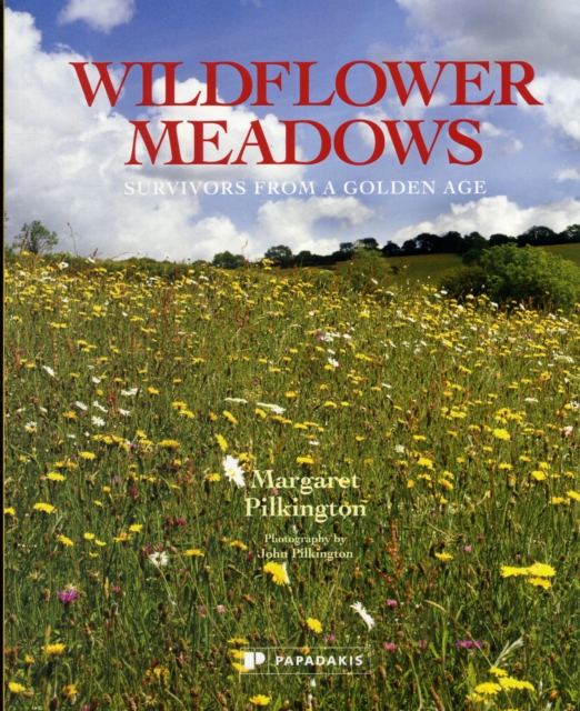Wildflower Meadows - Survivors from a Golden Age
