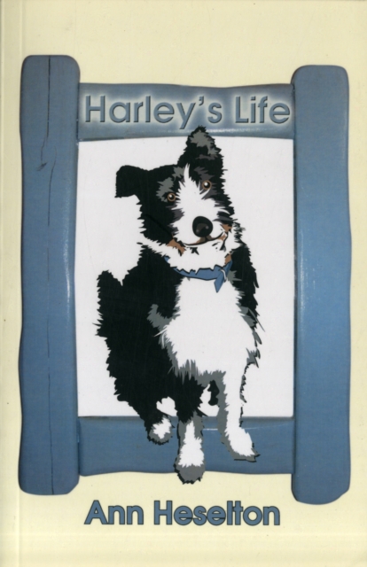 Harley's Life